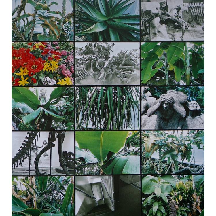游本寬 影像構成展:BEN YU PHOTOGRAPHIC CONSTRUCTIONS